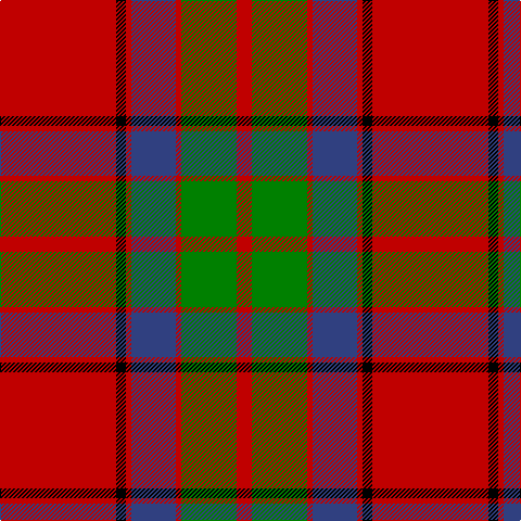 R/107 K9 R5 B41 R5 G51 R/14 tartan Tartan detail