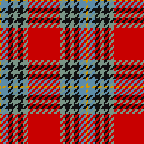 DY/4 B24 K16 LG16 K16 LG16 R/108 tartan Tartan detail