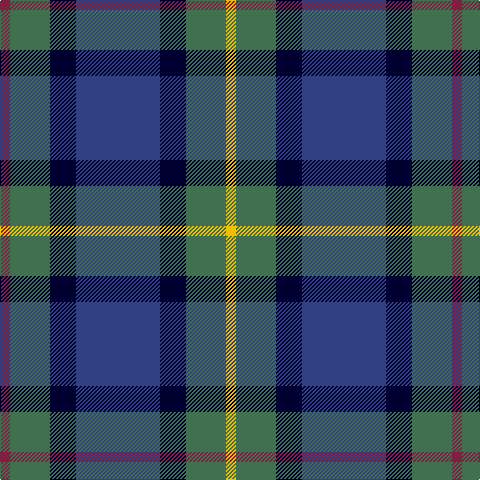 DR/10 G40 DB26 B84 DB26 G40 Y/10 tartan Tartan detail