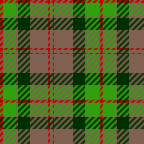 R/10 G44 LT5 DG40 LT62 R5 LT/10 tartan Tartan detail