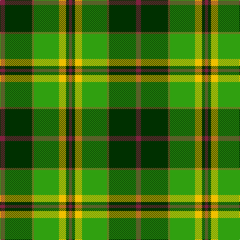 DR/10 DG54 LT4 G50 Y14 DG6 DR/6 tartan Tartan detail