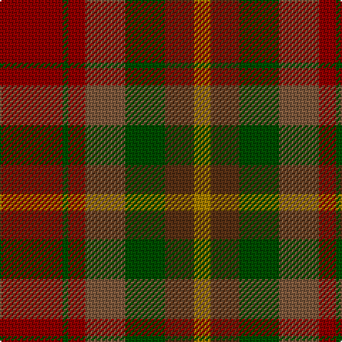 DR/44 G4 DR12 LT28 G28 T20 DY/12 tartan Tartan detail