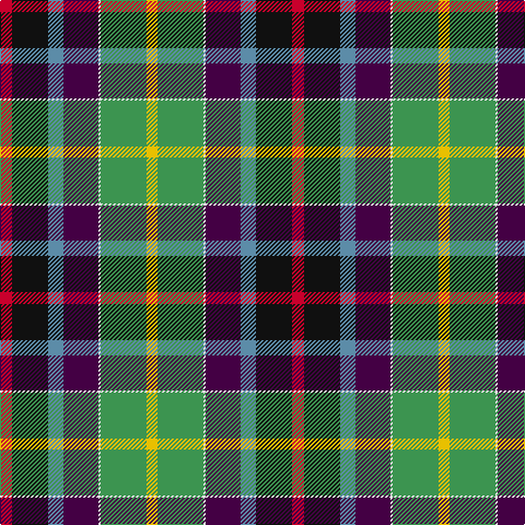 R/11 K33 B14 DP32 LN2 G42 Y/10 tartan Tartan detail