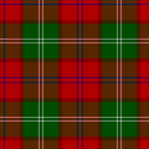 DR/12 DB4 DR48 DRa12 G48 N4 G/8 tartan Tartan detail