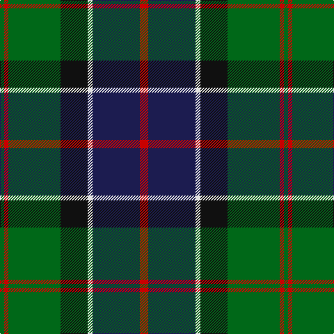 G/6 R6 G75 K39 LN7 DB68 R/12 tartan Tartan detail