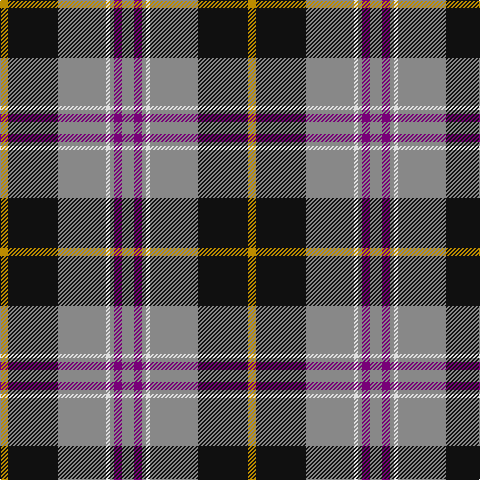 DY/8 K50 N48 LN4 N4 P8 N/12 tartan Tartan detail