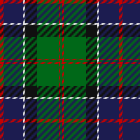 R/12 DB68 LN7 K39 G75 R6 G/6 tartan Tartan detail