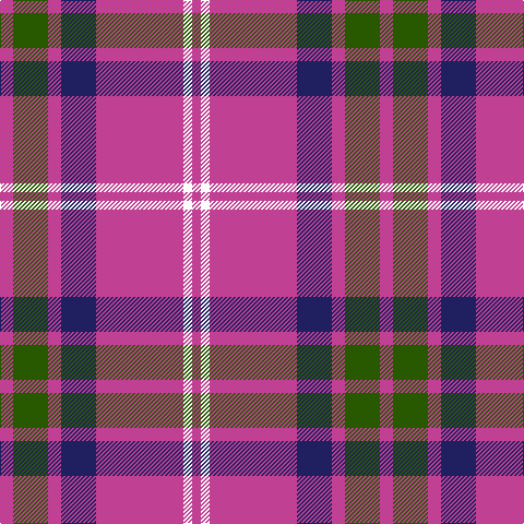 P/12 G32 P12 DB32 P80 W8 P/8 tartan Tartan detail
