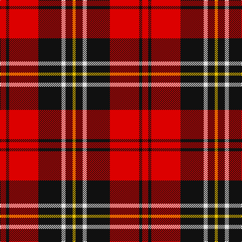 R/12 K6 R58 K46 LN8 K14 Y/6 tartan Tartan detail