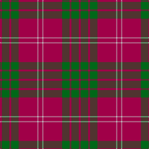 R/6 G24 R6 G24 R60 N4 R/12 tartan Tartan detail