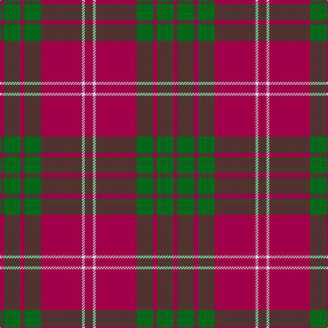 R/6 G24 R6 G24 R60 LN4 R/12 tartan Tartan detail
