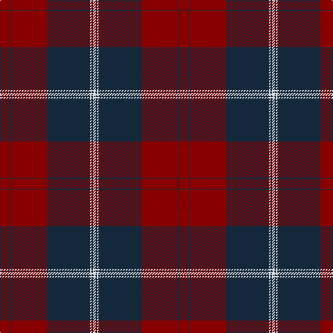 DR/14 DN2 DR52 DN62 LN2 DN2 LN/4 tartan Tartan detail