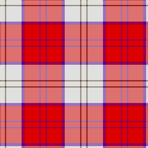LN/16 T4 LN50 P10 R48 P4 R/16 tartan Tartan detail