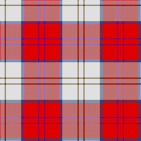 LN/16 T4 LN52 B10 R48 P4 R/16 tartan Tartan detail