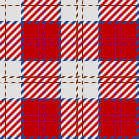 LN/16 T4 LN52 B10 R48 P4 R/16 tartan Tartan detail
