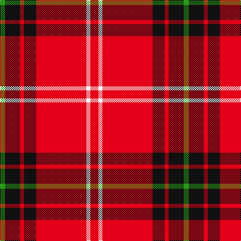 G/10 K30 R8 K24 R100 W8 R/16 tartan Tartan detail