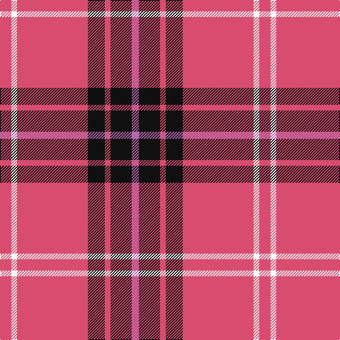 LR/16 W8 LR100 K24 LR8 K30 P/10 tartan Tartan detail