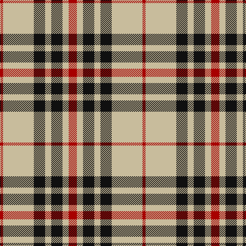 DR/6 N60 K22 N12 K22 N12 DR/16 tartan Tartan detail
