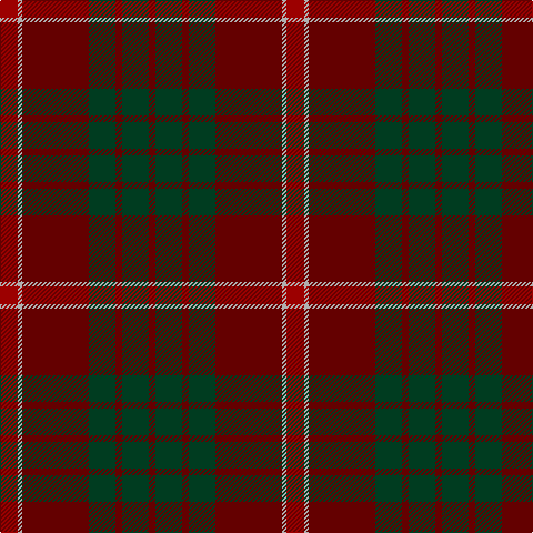 DR/16 N4 DRa60 DG24 DRa6 DG24 DRa/6 tartan Tartan detail