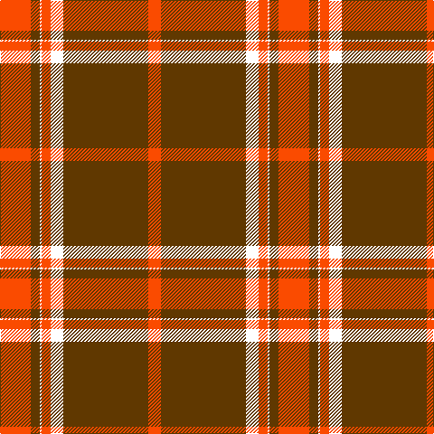 R/34 T10 W2 R10 W14 T94 R/14 tartan Tartan detail