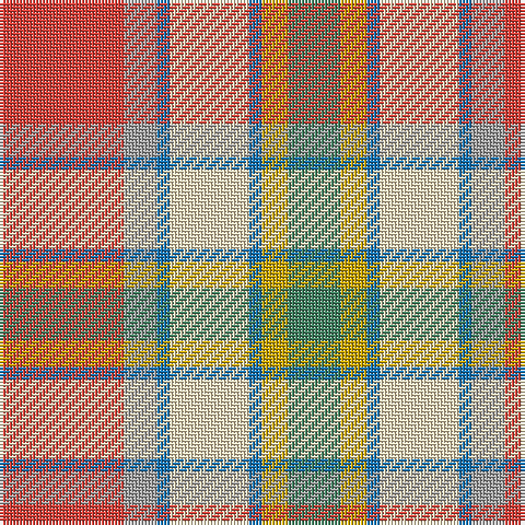 R/38 N10 B4 W24 B4 DY8 G/16 tartan Tartan detail