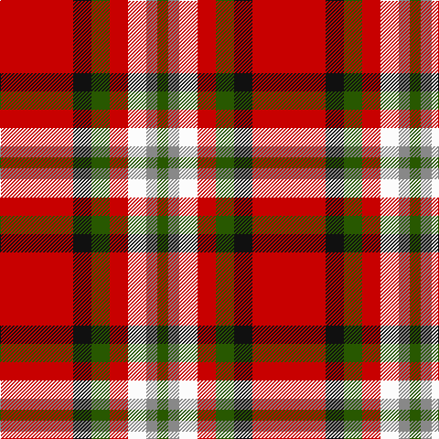 R/80 K20 G20 R20 W20 N12 G/12 tartan Tartan detail