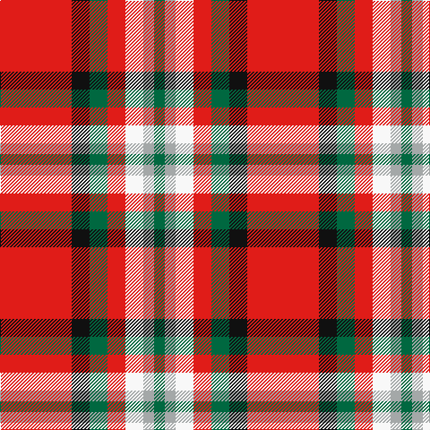 R/80 K20 G20 R20 W20 N12 G/12 tartan Tartan detail