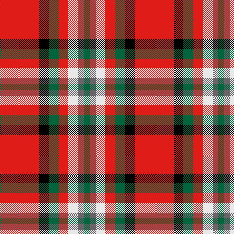 R/80 K20 G20 R20 LN20 N12 G/12 tartan Tartan detail