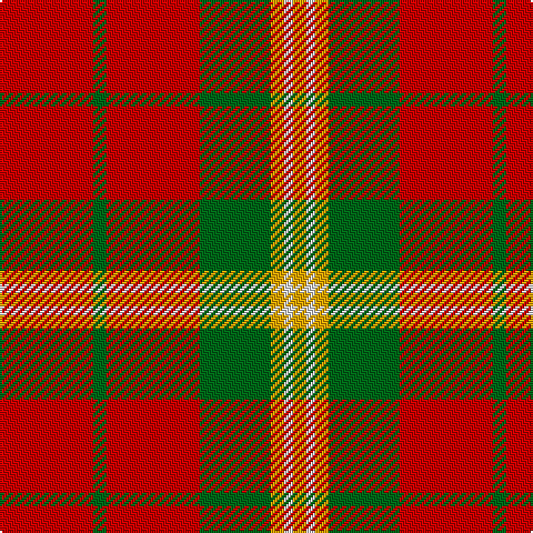 R/42 G6 R42 G32 Y6 LN4 Y/6 tartan Tartan detail