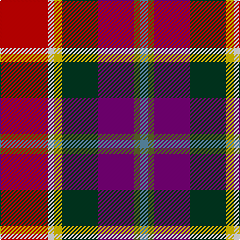R/48 W6 Y8 DG36 P36 G6 B/8 tartan Tartan detail