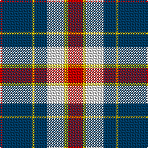 R/4 DB48 Y4 DB20 LN28 Y6 R/24 tartan Tartan detail