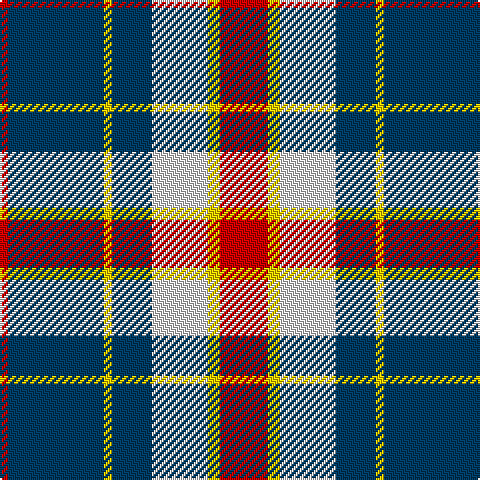 R/4 DB48 Y4 DB20 LN28 Y6 R/24 tartan Tartan detail