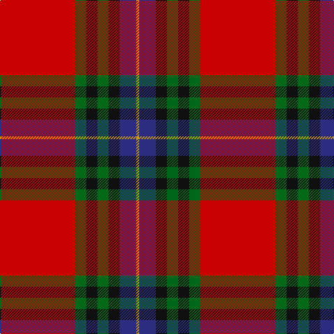 DY/4 DB24 K16 G16 K16 G16 R/108 tartan Tartan detail