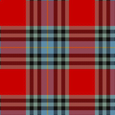 DY/4 B24 K16 LG16 K16 LG16 R/108 tartan Tartan detail