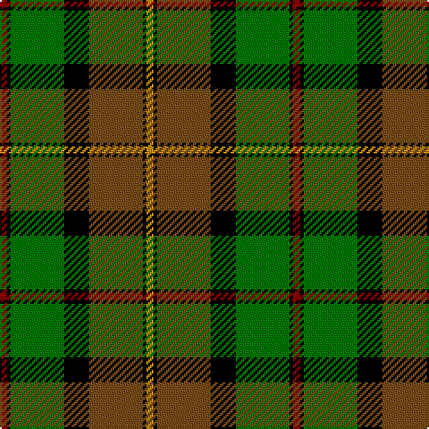 DR/4 K2 G30 K14 T30 K2 DY/4 tartan Tartan detail