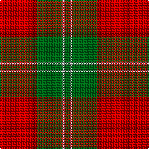 R/8 DR4 R40 DR8 G40 N4 G/8 tartan Tartan detail
