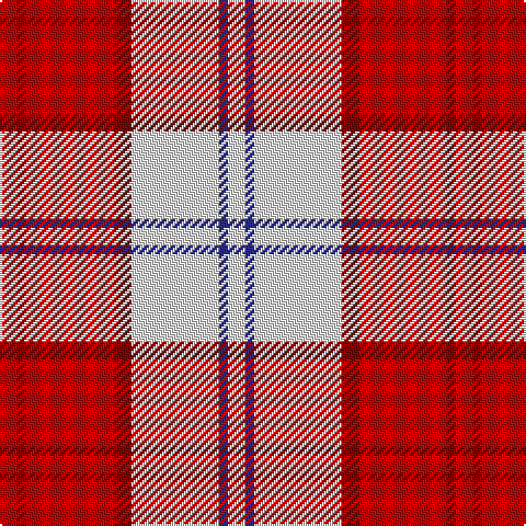 R/8 DR4 R40 DR8 LN40 DB4 LN/8 tartan Tartan detail
