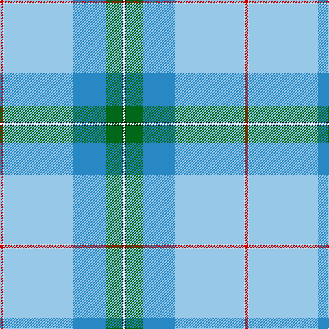 R/4 LN2 LB100 Ba48 G24 K2 YY/2 tartan Tartan detail