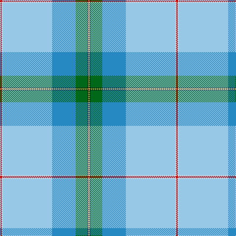 R/4 LN2 LB100 B48 G24 K2 Y/2 tartan Tartan detail