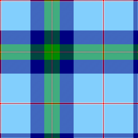 R/4 W2 LB100 DB48 G24 K2 Y/2 tartan Tartan detail