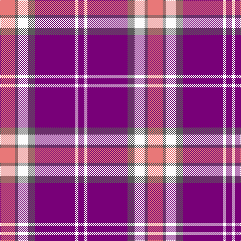 LR/30 N6 W20 N14 P80 W6 P/12 tartan Tartan detail