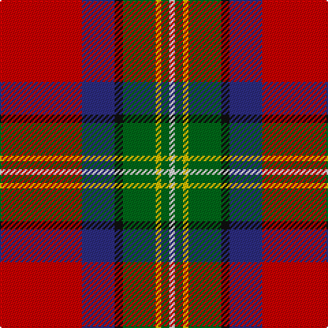 LN/4 G6 Y4 G24 K6 DB24 R/60 tartan Tartan detail