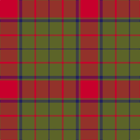 R/60 G6 DB10 G42 R6 G42 DB/4 tartan Tartan detail