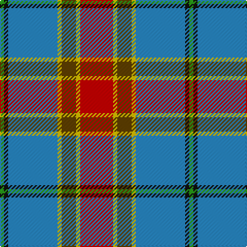 G/4 K4 B48 Y4 T14 Y4 R/32 tartan Tartan detail