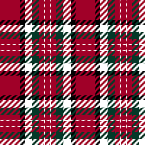 DR/66 K16 LUT24 DG24 DR16 LUT4 DR/16 tartan Tartan detail