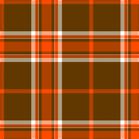 R/14 T94 W14 R10 W2 T10 R/34 tartan Tartan detail
