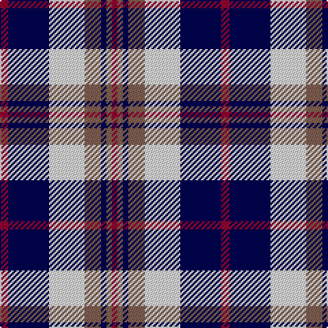 DR/6 DB30 LN26 LT12 DB4 LT4 DR/4 tartan Tartan detail