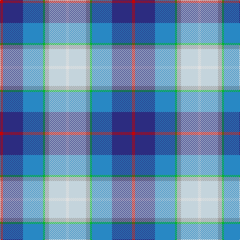 R/6 DB40 B40 G4 Na8 N34 LN/6 tartan Tartan detail