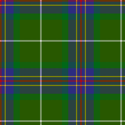 R/6 DB12 Y4 DB30 G24 Ga78 LN/6 tartan Tartan detail