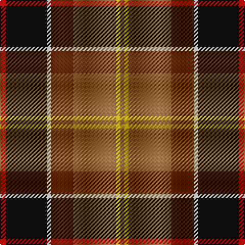R/6 K40 W4 T22 LT42 Y4 LT/4 tartan Tartan detail
